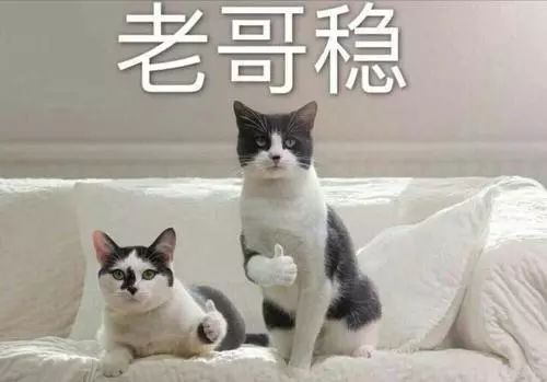 高效學習神器：千呼萬喚的Anki教程！插圖