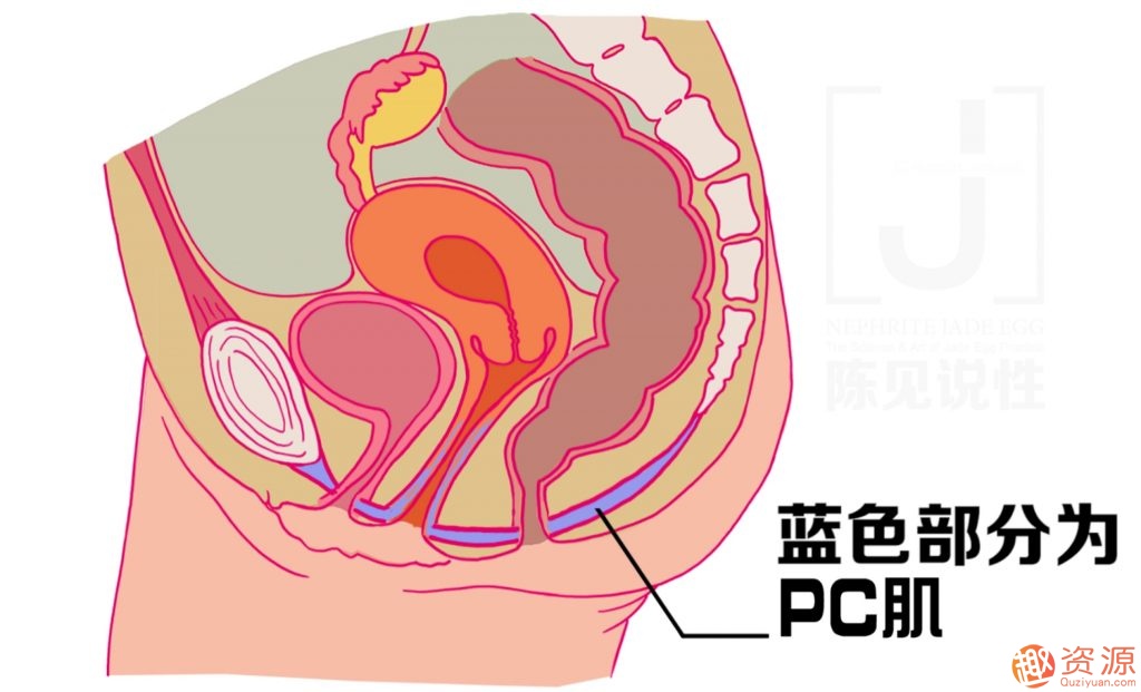 女性朋友怎么練習玉蛋功？玉蛋功鍛煉詳解插圖