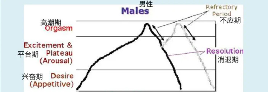 令人迷惑的“賢者模式”，抽搐后索然無味插圖1