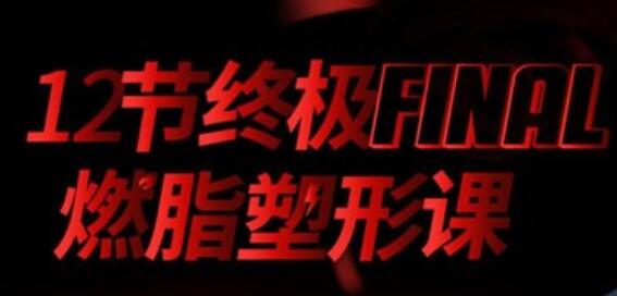寧澤濤、張鈞甯、李晨健身教練黨寧遠：12節終極燃脂塑形課 百度云分享_百度云網盤教程視頻插圖