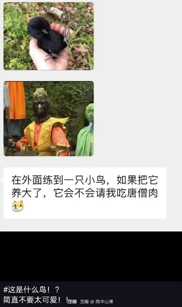 這敞篷跑車的馬力一定很足！插圖19