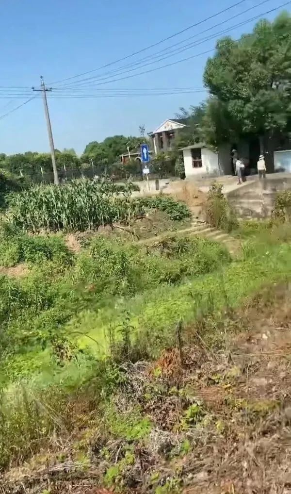請問這是同一個人嗎？插圖31