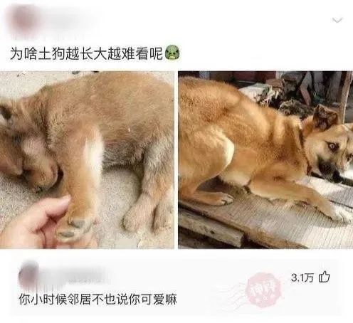 大長腿一字馬蜘蛛俠？插圖12