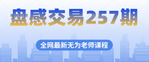盤感交易257期無為最新課程百度網盤插圖