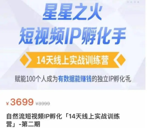 瑤瑤?自然流短視頻IP孵化第二期，成為有數據能賺錢的獨立IP孵化手百度網盤插圖