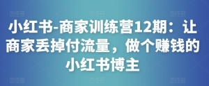 小紅書-商家訓練營12期：讓商家丟掉付流量，做賺錢小紅書博主百度網盤插圖