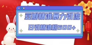 豆瓣精準暴力引流，日引精準粉500+【12課時】百度網盤插圖