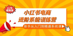 小紅書電商新手入門到精通實操課，從入門到精通做爆款筆記百度網盤插圖