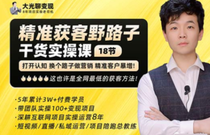 楊光?精準獲客野路子，黑科技快速獲取精準客戶百度網盤插圖
