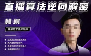 林楓?2023新課直播算法逆向解密，選品、建模、老號重啟、控流、羅盤分析百度網盤插圖