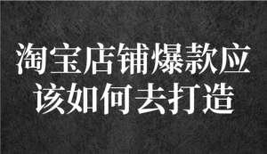 冠東?爆款店鋪淘系爆款選品方法，一個好選品思路決定是否盈利百度網盤插圖