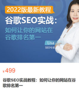 谷歌SEO實戰教程：谷歌排名第一秘籍，內容從入門到高階百度網盤插圖