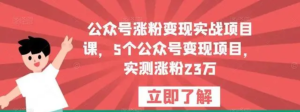 公眾號漲粉變現實戰項目課，5個公眾號變現，漲粉23萬百度網盤插圖
