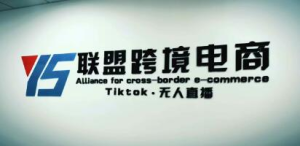 YS聯盟?Tiktok無人直播，不出鏡不剪輯不拍攝不發貨無售后的跨境短視頻插圖