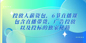 三里屯?投放人薪資包，6節直播課，直播帶貨、廣告投放獨家秘籍百度網盤插圖