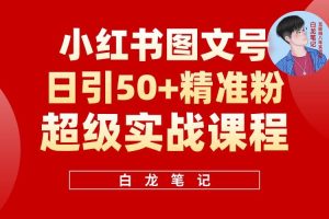 小紅書圖文號日引50+精準流量，新手小白實戰的小紅書引流課百度網盤插圖