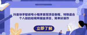 抖音快手壁紙號小程序變現項目教程，適合個人短視頻掘金項目百度網盤插圖