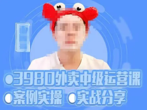 水獺會系統外賣運營＋招商方案，案例實操分享百度網盤插圖