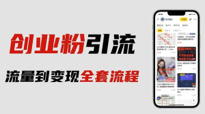 價值980的2023最新暴力引流創業粉絲玩法，單日被動引流50+創業粉百度網盤插圖