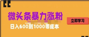 微頭條暴力漲粉技巧搬運文案就能漲幾萬粉絲，0成本日賺600百度網盤插圖
