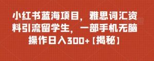 小紅書藍海項目雅思詞匯資料引流留學生，0門檻操作日入300百度網盤插圖