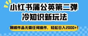 小紅書蒲公英冷知識新玩法，照搬作品賺錢副業百度網盤插圖