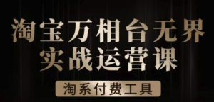 滄海?淘系萬相臺無界實戰運營課，萬相臺案例解析百度網盤插圖