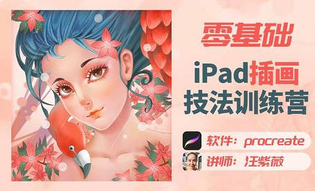 汪紫薇零基礎IPAD插畫技法實訓2022年百度網盤