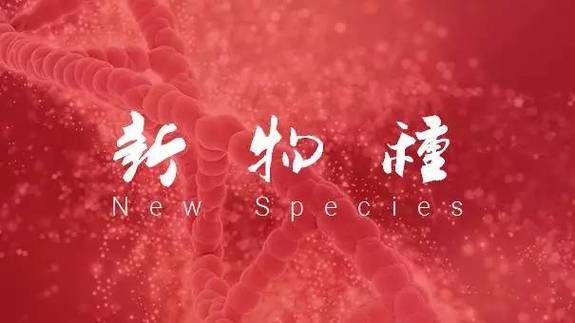如何通過公眾號協作建立個人IP？插圖
