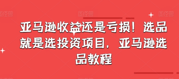 亞馬遜收益還是虧損！選品就是選投資項目，亞馬遜選品教程插圖