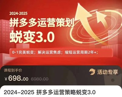 【電商上新】083.大力·2024-2025拼多多運營策略蛻變3.0 0~1完美蛻變，解決信息焦慮