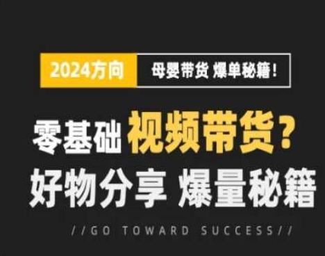 短視頻母嬰賽道實操流量訓練營，零基礎視頻帶貨，好物分享，爆量秘籍插圖