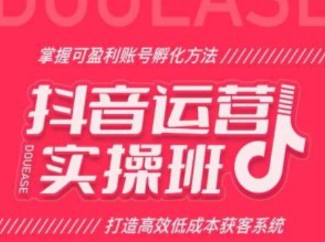 抖音運營實操班，掌握可盈利賬號孵化方法，打造高效低成本獲客系統插圖