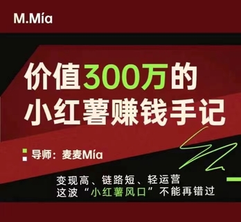 【抖音上新】價值300萬的小紅書賺錢手記 變現高、鏈路短、輕運營，這波“小紅薯風口”不能再錯過。
