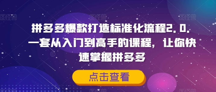 拼多多爆款打造標準化流程2.0，一套從入門到高手的課程，讓你快速掌握拼多多插圖