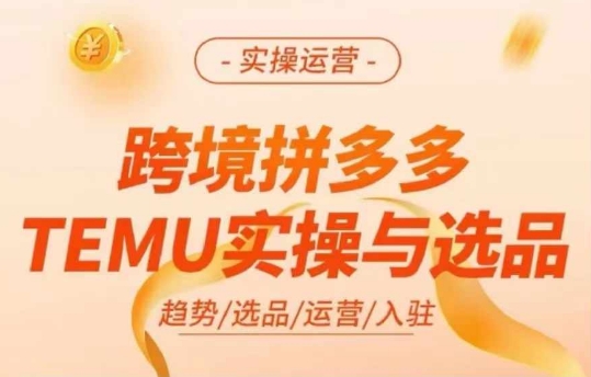 跨境拼多多TEMU實操與選品，多多temu跨境選品運營實操插圖