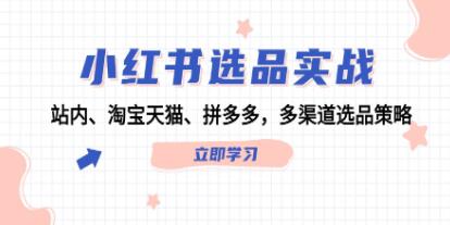 《小紅書選品實戰》站內、淘寶天貓、拼多多，多渠道選品策略插圖